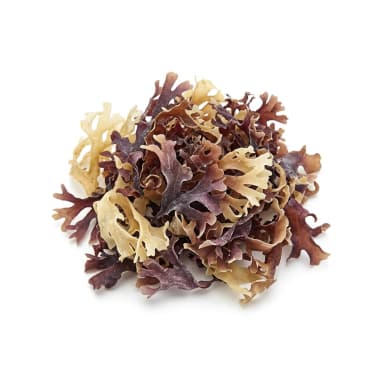 Carrageen Produktbild
