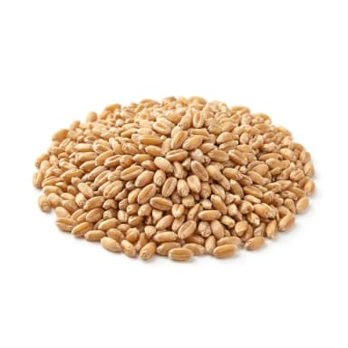 Mahlweizen Produktbild