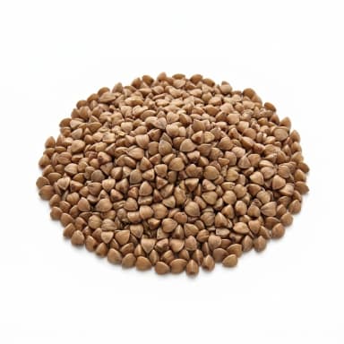 Buchweizen Produktbild