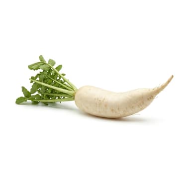 Rettich Produktbild