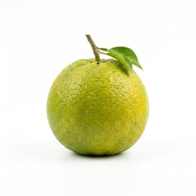 Bergamotte Produktbild