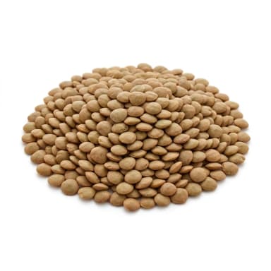 Linse Produktbild