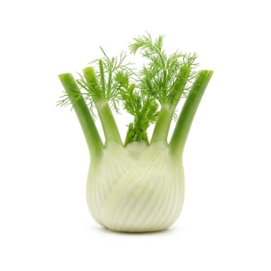 Fenchel Produktbild