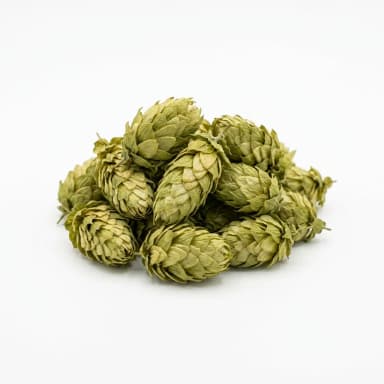 Hopfen Produktbild