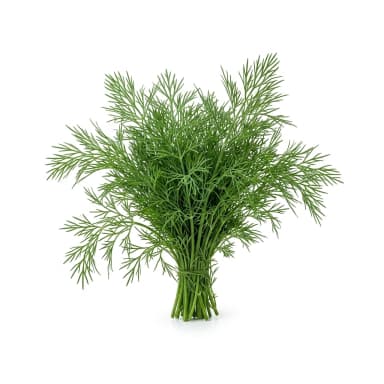 Dill Produktbild