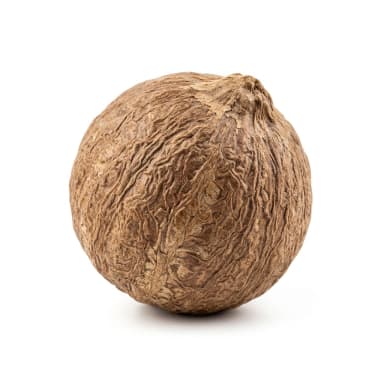 Arekanuss Produktbild