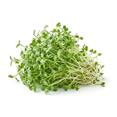 Alfalfa Produktbild