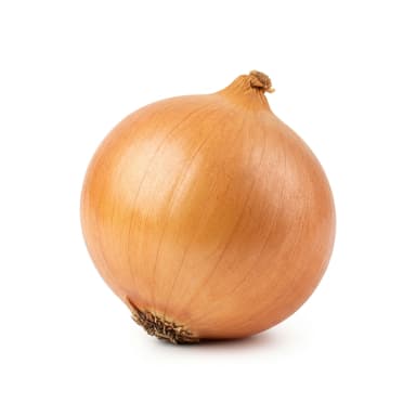 Zwiebel Produktbild