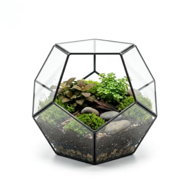 Terrarium Produktbild