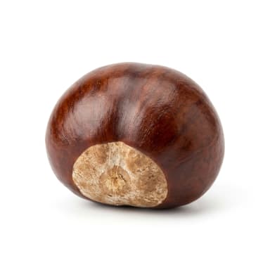 Kastanie Produktbild