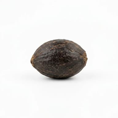 Palmkern Produktbild