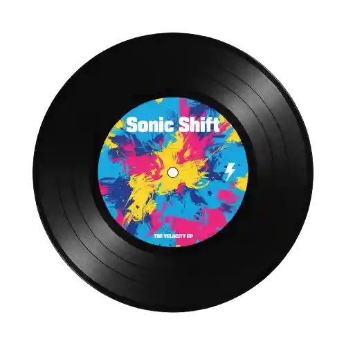 Schallplatte mit 11-stelliger Zolltarifnummer 85238090009