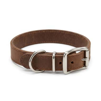 Hundehalsband Produktbild