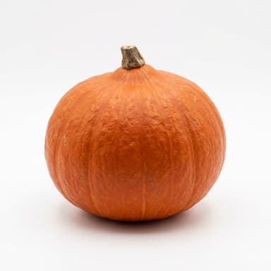 Kürbis Produktbild