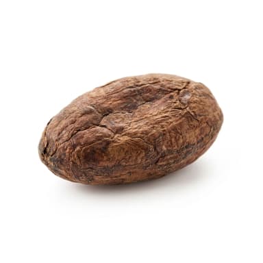 Kakaobohne Produktbild