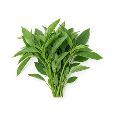 Molokhia Produktbild