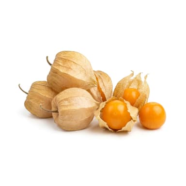 Physalis Produktbild