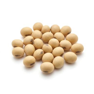 Sojabohne Produktbild
