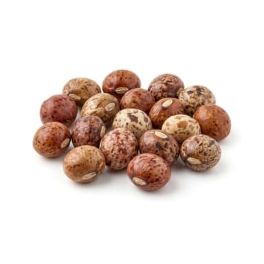 Straucherbse Produktbild