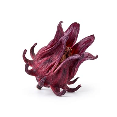 Hibiskus-Blüte Produktbild