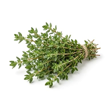 Thymian Produktbild
