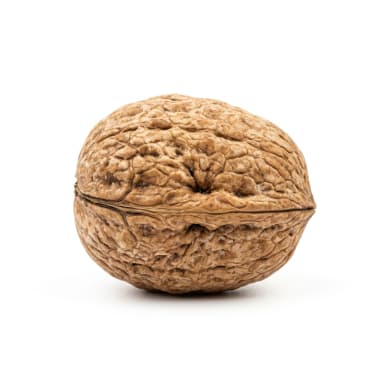 Nuss Produktbild