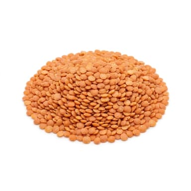 Rote Linse Produktbild