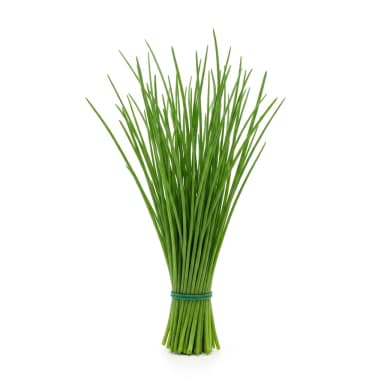 Schnittlauch Produktbild