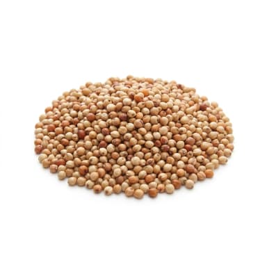Sorghumhirse Produktbild