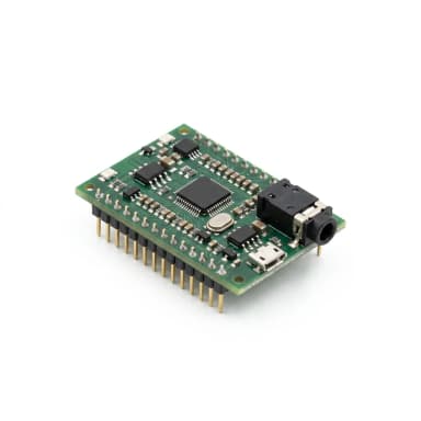 Audio-Modul Produktbild