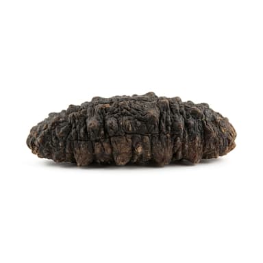 Getrocknete Seegurke Produktbild