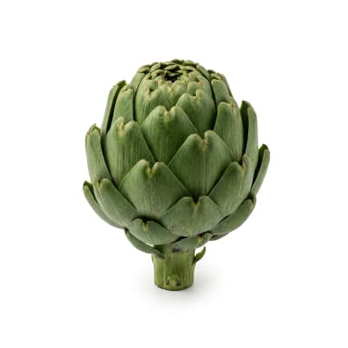 Artischocke Produktbild