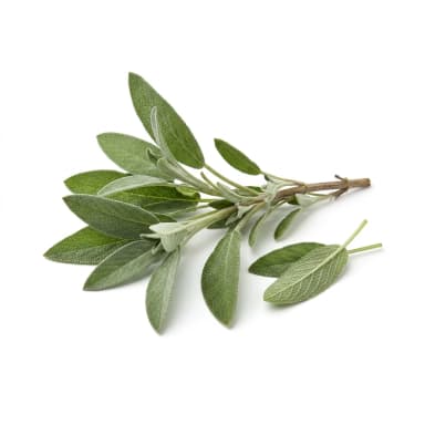 Salbei Produktbild