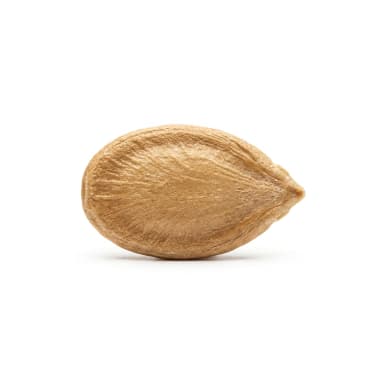 Melonenkern Produktbild