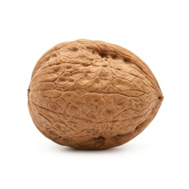 Walnuss Produktbild