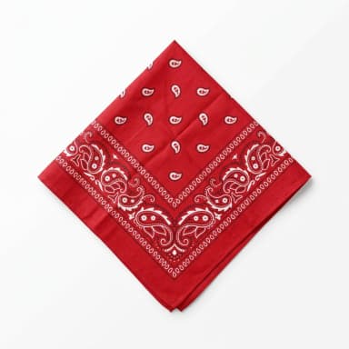 Bandana Produktbild