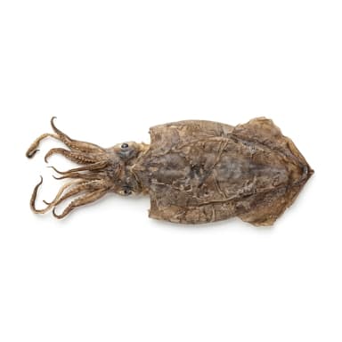 Getrockneter Tintenfisch Produktbild